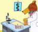 Dr. Knuffel Kalender 2010
